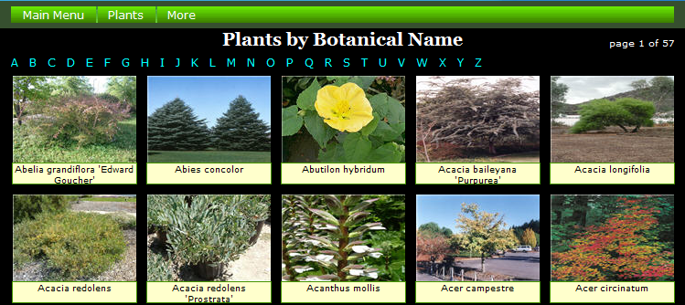 Plants by Botanical